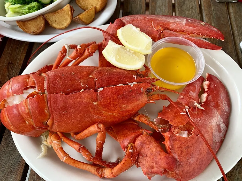 Lobster Dinner Special