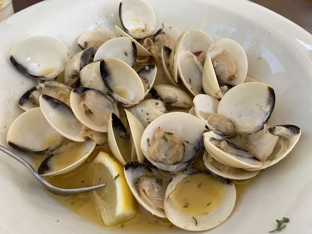 Steamed Clams Appetizer